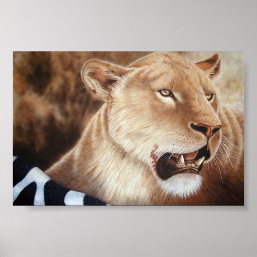 Leesheid over haar moord poster (Voorkant)