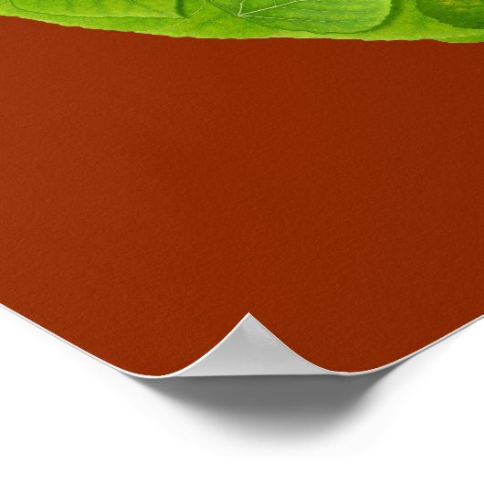 Leeshuid van spen 10 poster (Hoek)