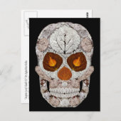 Leeshuid van spen 11 briefkaart (Voorkant / Achterkant)