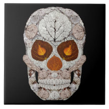 Leeshuid van spen 11