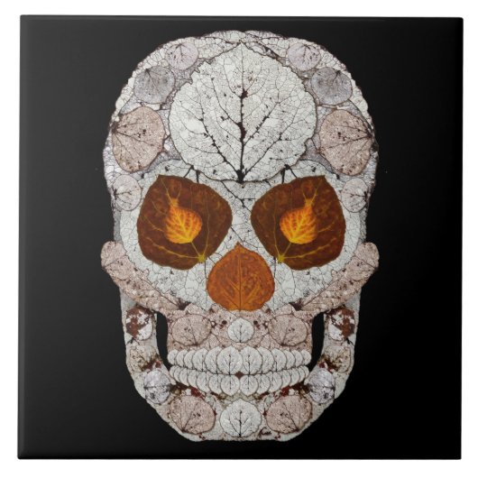 Leeshuid van spen 11 tegeltje (Voorkant)