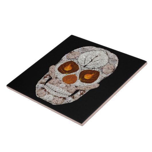 Leeshuid van spen 11 tegeltje (Zijkant)