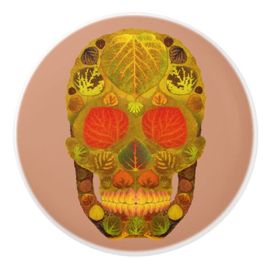 Leeshuid van spen 12 keramische knop (Voorkant)