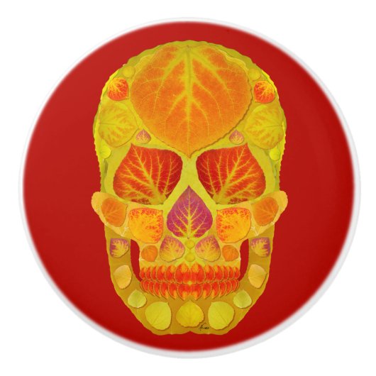 Leeshuid van spen 13 keramische knop (Voorkant)