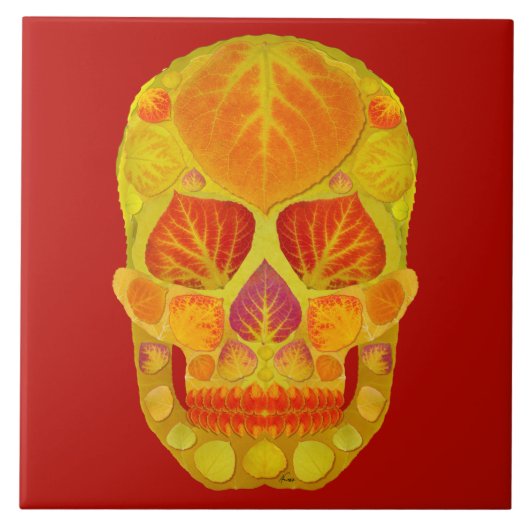 Leeshuid van spen 13 tegeltje (Voorkant)