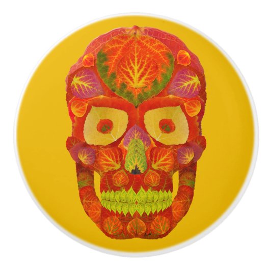 Leeshuid van spen 16 keramische knop (Voorkant)