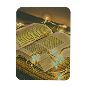 Leeslappen geven librariaanse ladder magneet