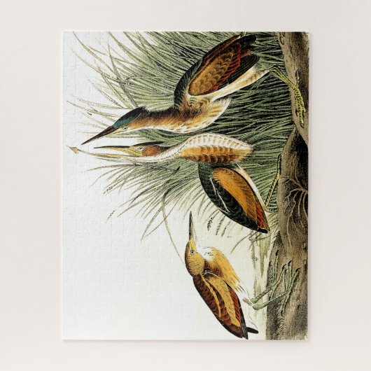 Leest Bittern Heron Birds Wildlife Animals Puzzle Legpuzzel (Verticaal)
