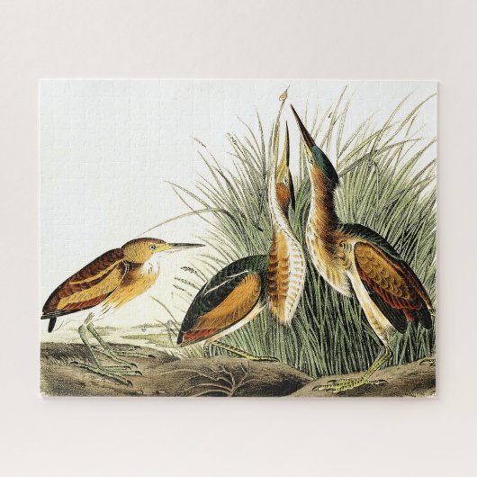 Leest Bittern Heron Birds Wildlife Animals Puzzle Legpuzzel (Horizontaal)