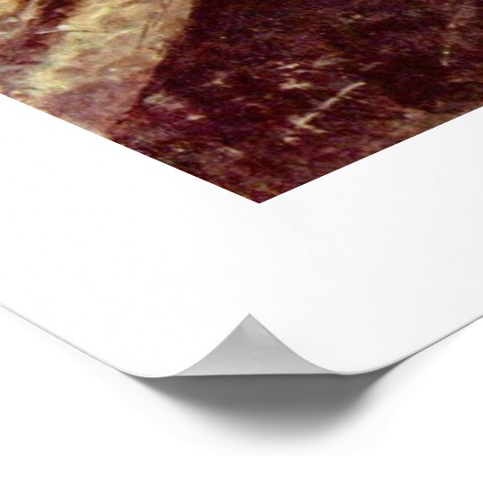 Leesvrouw van Jean-Baptiste Camille Corot Poster (Hoek)