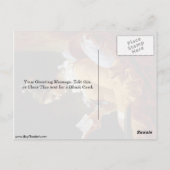 Leesvrouw van Jean-Honore Fragonard Briefkaart (Achterkant)