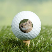 Leeuw 022 golfballen (Insitu Shirt)