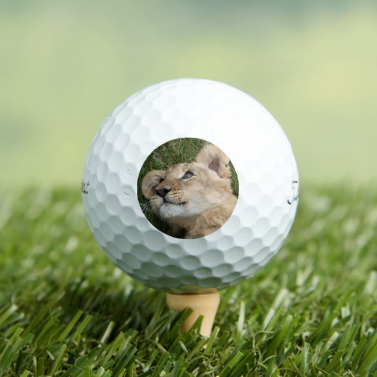 Leeuw 022 golfballen (Insitu Shirt)