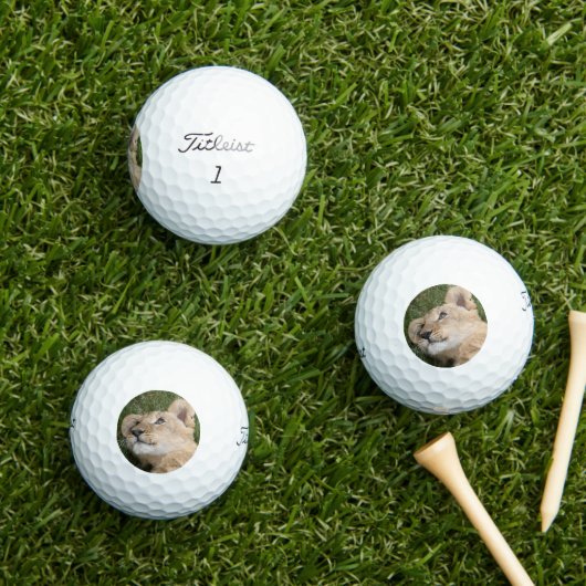 Leeuw 022 golfballen (Insitu Gras)