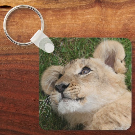 Leeuw 022 sleutelhanger (Voorkant)