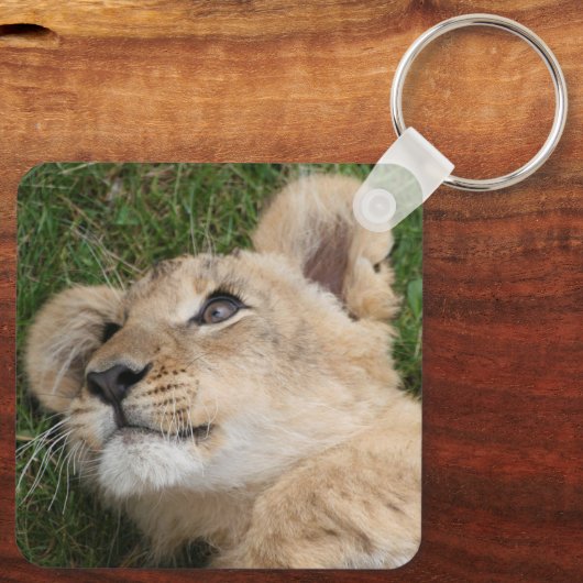 Leeuw 022 sleutelhanger (Achterkant)