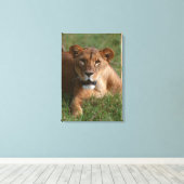 Leeuw 10 canvas afdruk (Insitu (Houten vloer))