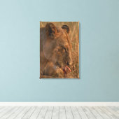 Leeuw 12 canvas afdruk (Insitu (Houten vloer))