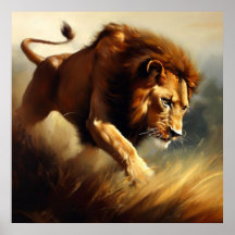 Leeuw (12) Wilde kat