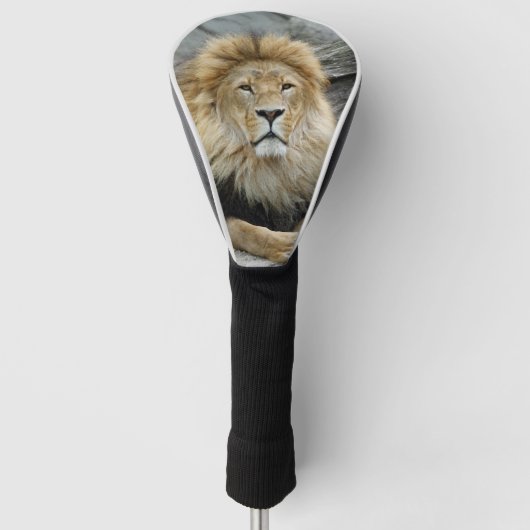 Leeuw_2023-02 Golfheadcover (Voorkant)