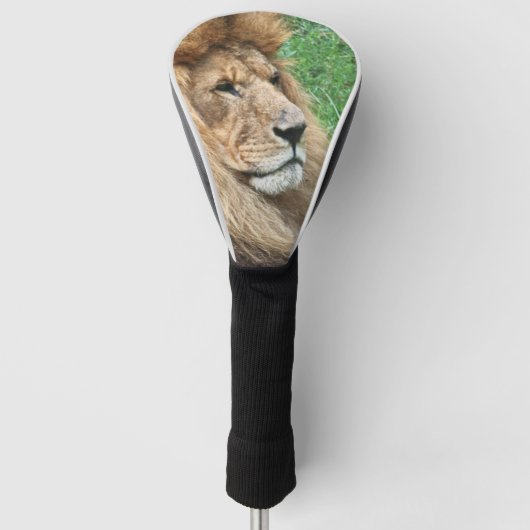 Leeuw_2023-04 Golfheadcover (Voorkant)