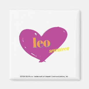 Leeuw 2 magneet