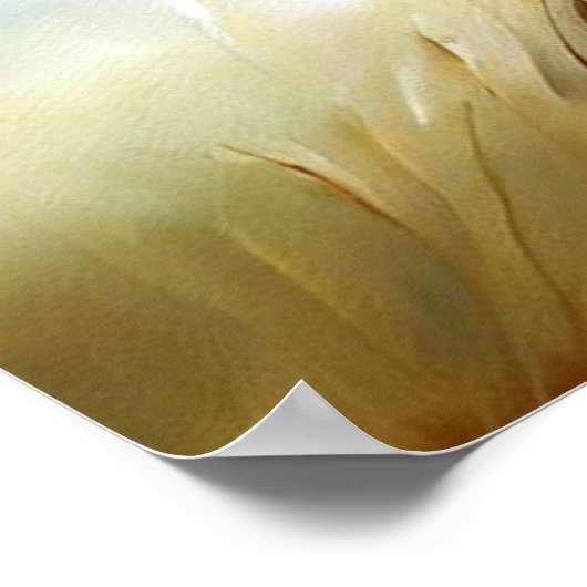 Leeuw (7) Wilde kat Poster (Hoek)