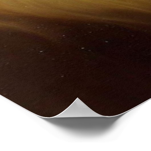 Leeuw (9) Wilde kat Poster (Hoek)