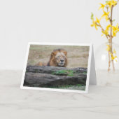 Leeuw achter Rock Kaart (Gele Bloem)