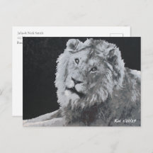 Leeuw, Afrikaanse leeuw, dier