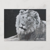 Leeuw, Afrikaanse leeuw, dier Briefkaart (Voorkant)