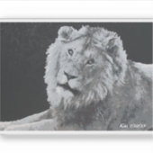 Leeuw, Afrikaanse leeuw, dier Sticker (Voorkant)