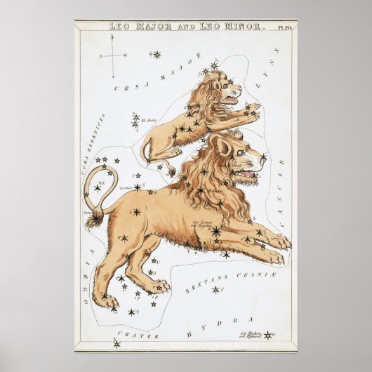 Leeuw Astrologische Tekening Poster (Voorkant)