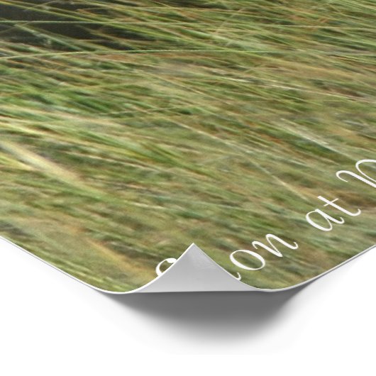 Leeuw bij rust poster (Hoek)