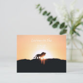 Leeuw bij zonsondergang Leven op de RAND Briefkaart (Staand voorkant)