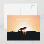 Leeuw bij zonsondergang Leven op de RAND Briefkaart (Voorkant / Achterkant)