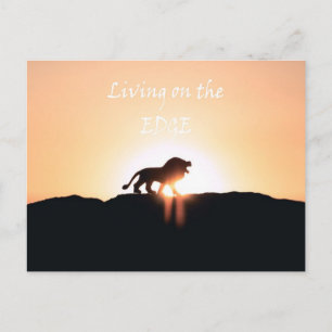 Leeuw bij zonsondergang Leven op de RAND Briefkaart
