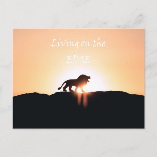 Leeuw bij zonsondergang Leven op de RAND Briefkaart (Voorkant)