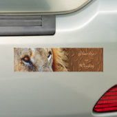 Leeuw bumpersticker (Op auto)