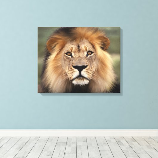 Leeuw - De Koning van het Oerwoud Canvas Afdruk (Insitu (Houten vloer))