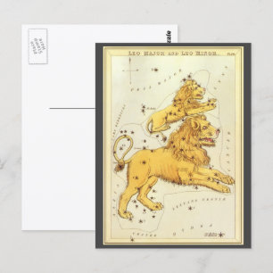 Leeuw de Leeuw Oude Constellatie Urania's Spiegel Briefkaart