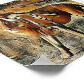 Leeuw die in de struiken loopt poster (Hoek)