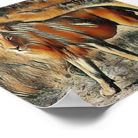 Leeuw die in de struiken loopt poster (Hoek)