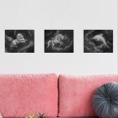 Leeuw, Eenhoorn en Dolfijn Constellaties Muurkunst Sets (Woonkamer)