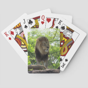 Leeuw- en fietskaarten pokerkaarten