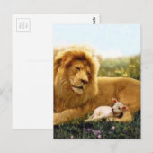 Leeuw en Lam Briefkaart (Voorkant / Achterkant)