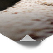 Leeuw en Lam Poster (Hoek)