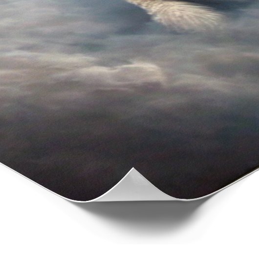 Leeuw en Lam Poster (Hoek)