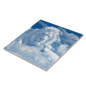 Leeuw en Lam Tegel Tegeltje (Zijkant)