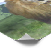 Leeuw en lammeren poster (Hoek)